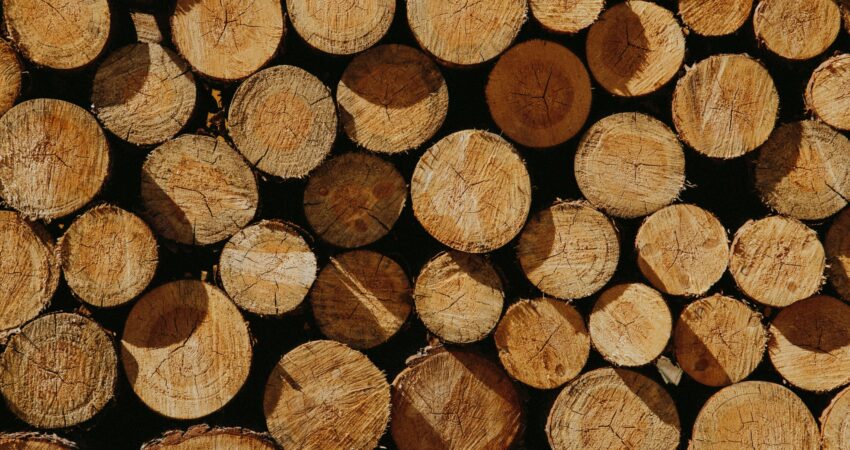 Best Teak Wood Supplier India