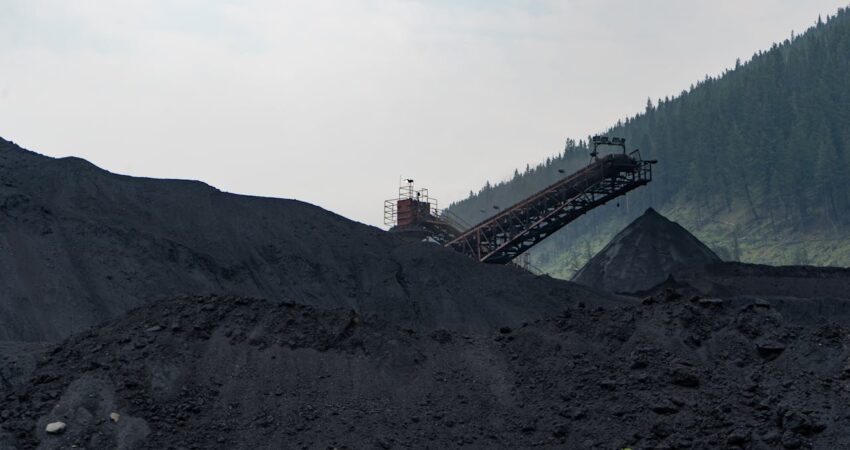 Reliable Coal Supplier & Dealer - High-Quality Coal